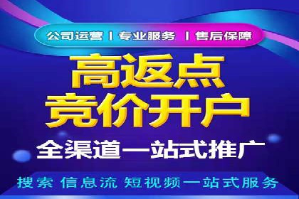 SEM代运营公司案例：优化策略揭秘